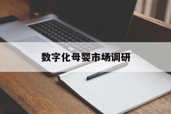 安康市数字化母婴市场调研(数字化母婴市场调研报告)